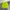 Descente Sportswear Short Pria green photo 2