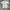 Minimalist Casual Casual shirt Pria multicolor photo 4