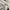 Casual Sweater Pria white photo 5