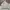 Puma Vintage Y2K Windbreaker Pria white photo 1