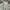 Puma Vintage Y2K Windbreaker Pria white photo 3