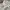 Uniqlo Streetwear Sportswear Windbreaker Pria white photo 4