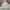 Uniqlo Streetwear Sportswear Windbreaker Pria white photo 1