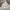 Uniqlo Streetwear Sportswear Windbreaker Pria White