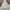 Uniqlo Streetwear Sportswear Windbreaker Pria white photo 2