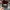 Burton Casual Hat Pria burgundy photo 5