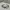 Harley Davidson Y2K Biker Sunglass Pria White Black