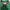 Emo Jumper Pria green photo 4