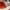 Casual Hat Pria white orange photo 6