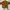 Vintage Jumper Pria brown photo 2
