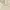 Minimalist Casual Sweater Wanita tan cream photo 1