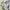 Topten Streetwear Sportswear Windbreaker Pria white gray photo 8