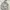 Topten Streetwear Sportswear Windbreaker Pria white gray photo 7