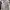 Sportswear Puffer jacket Pria white photo 1