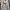 Sportswear Puffer jacket Pria white photo 2