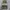 Lolita Casual Vest Wanita multicolor green photo 3