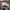 Casual Hat Pria cream photo 4