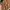 Pull & Bear Vintage Coquette Mini Skirt Wanita Pink Cream