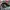 New Era Casual Hat Pria black gray photo 5