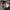 Nike Y2K Sportswear Hoody Pria gray photo 4
