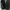Nike Biker Skater Sneakers Pria black photo 1