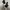 Nike Biker Skater Sneakers Pria black photo 2