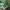 The North Face Casual Puffer jacket Pria green photo 6