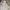 Levi's Casual Hoody Pria white yellow photo 1