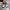 Onitsuka Tiger Streetwear Sneakers Wanita multicolor photo 4