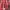 Levi's Casual Casual shirt Pria red photo 5