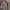 Carhartt Vintage Streetwear Sweater Pria brown photo 2