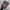 Nike Streetwear Sneakers Pria multicolor photo 5