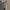 Carhartt Vintage Streetwear Casual pants Pria cream photo 6
