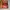 Nike Sportswear Sneakers Pria red orange photo 1
