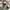 Adidas Sportswear Sneakers Pria white photo 6