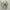 Adidas Sportswear Sneakers Pria white photo 3