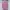 Uniqlo Luxury Casual Formal Shirt Pria Pink