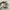 Adidas Sportswear Sneakers Wanita white cream photo 3