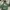 Stussy Streetwear Casual Hoody Pria green photo 1