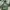 Stussy Streetwear Casual Hoody Pria Green