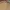 LAINE Muslim Formal shirt Pria brown yellow photo 3