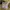 LAINE Muslim Formal shirt Pria brown yellow photo 6