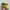 Adidas Casual Sneakers Pria blue yellow photo 3