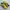 Adidas Casual Sneakers Pria blue yellow photo 1