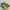 Adidas Casual Sneakers Pria Blue Yellow