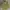 LAINE Muslim Formal shirt Pria green photo 1