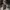 Japanese brand Gorpcore Minimalist Pria brown photo 2