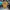 Stussy Vintage Streetwear T-shirt Pria yellow photo 1
