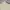 Mountain Hardwear Sportswear Mini skirt Wanita cream photo 2