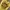 Grunge Emo T-shirt Wanita yellow photo 2
